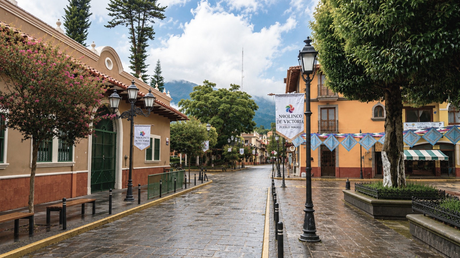 NAOLINCO México 2